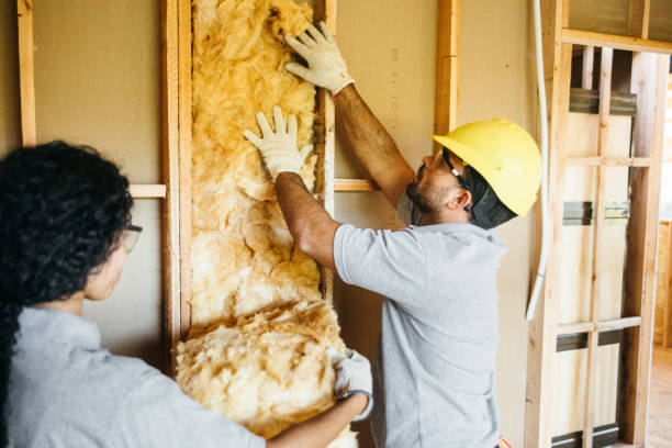 Best Fiberglass Insulation  in USA